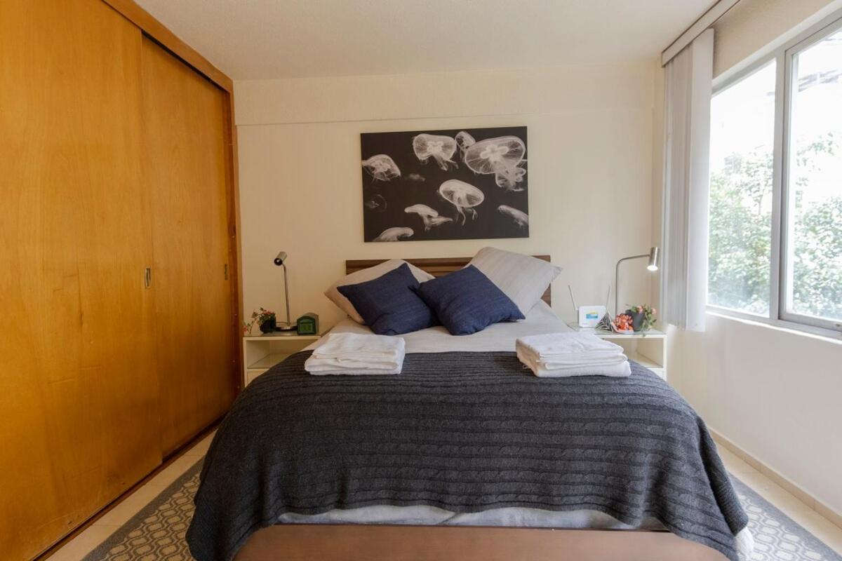 Rio Niagara Apartment Mexico City